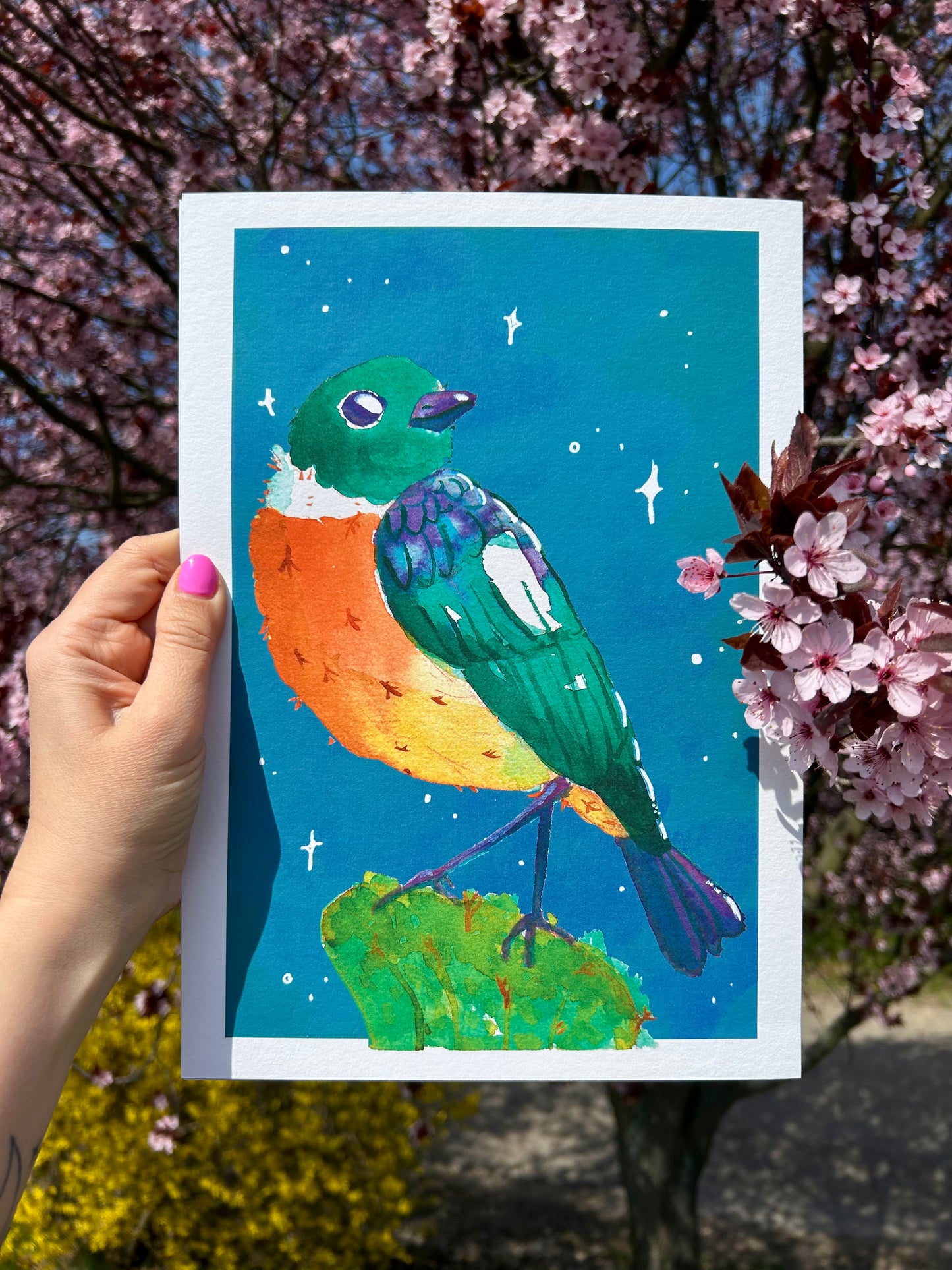 Cigánycsuk madár A4-es művészi Giclée nyomat