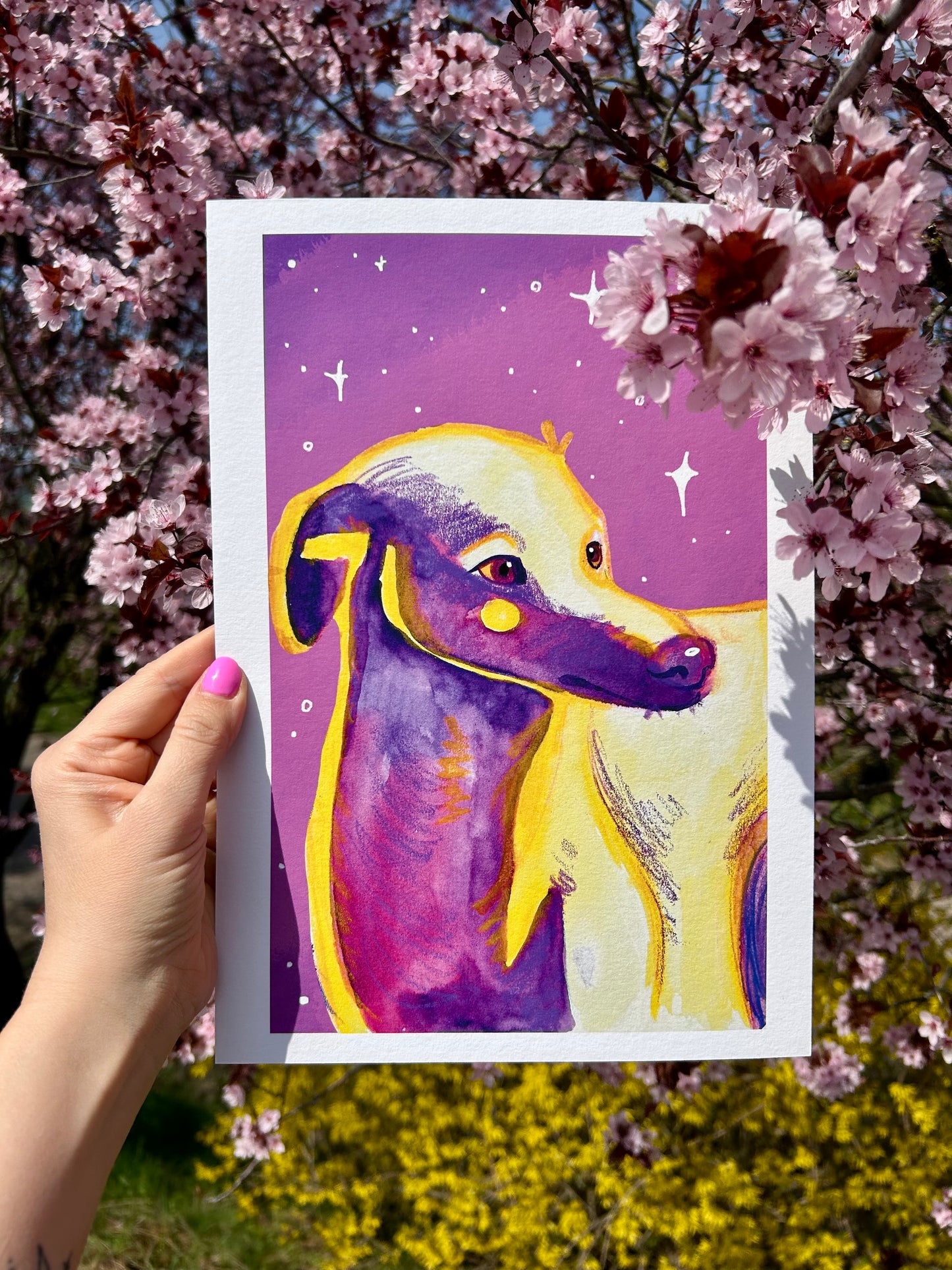Whippet/Kis angol agár A4-es művészi Giclée nyomat