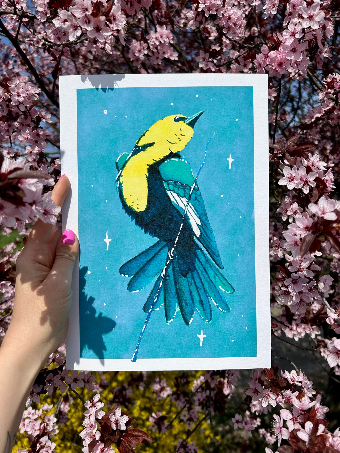 Sárgafejű csiröge A4-es művészi Giclée nyomat