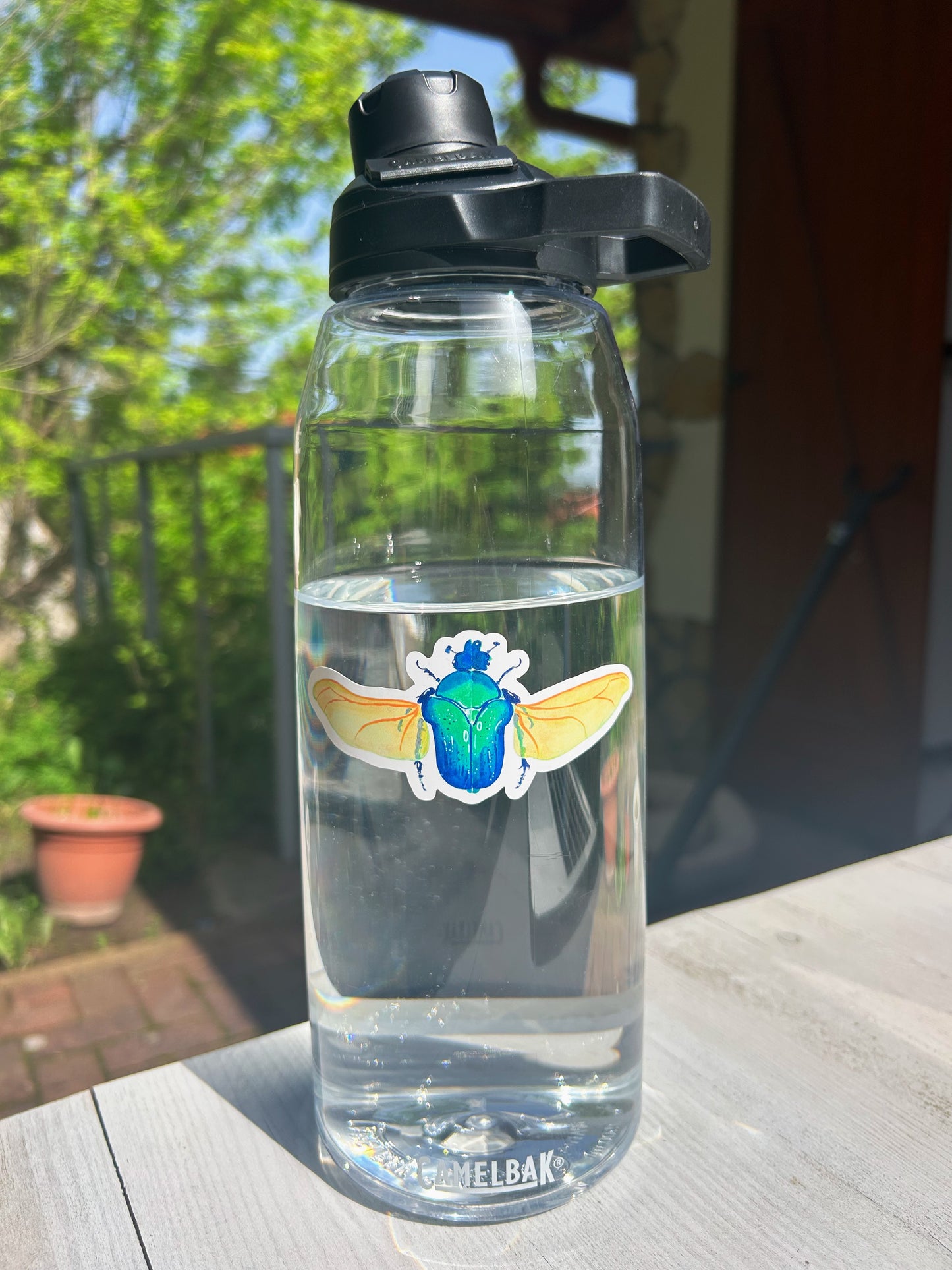 Aranyos rózsabogár matrica