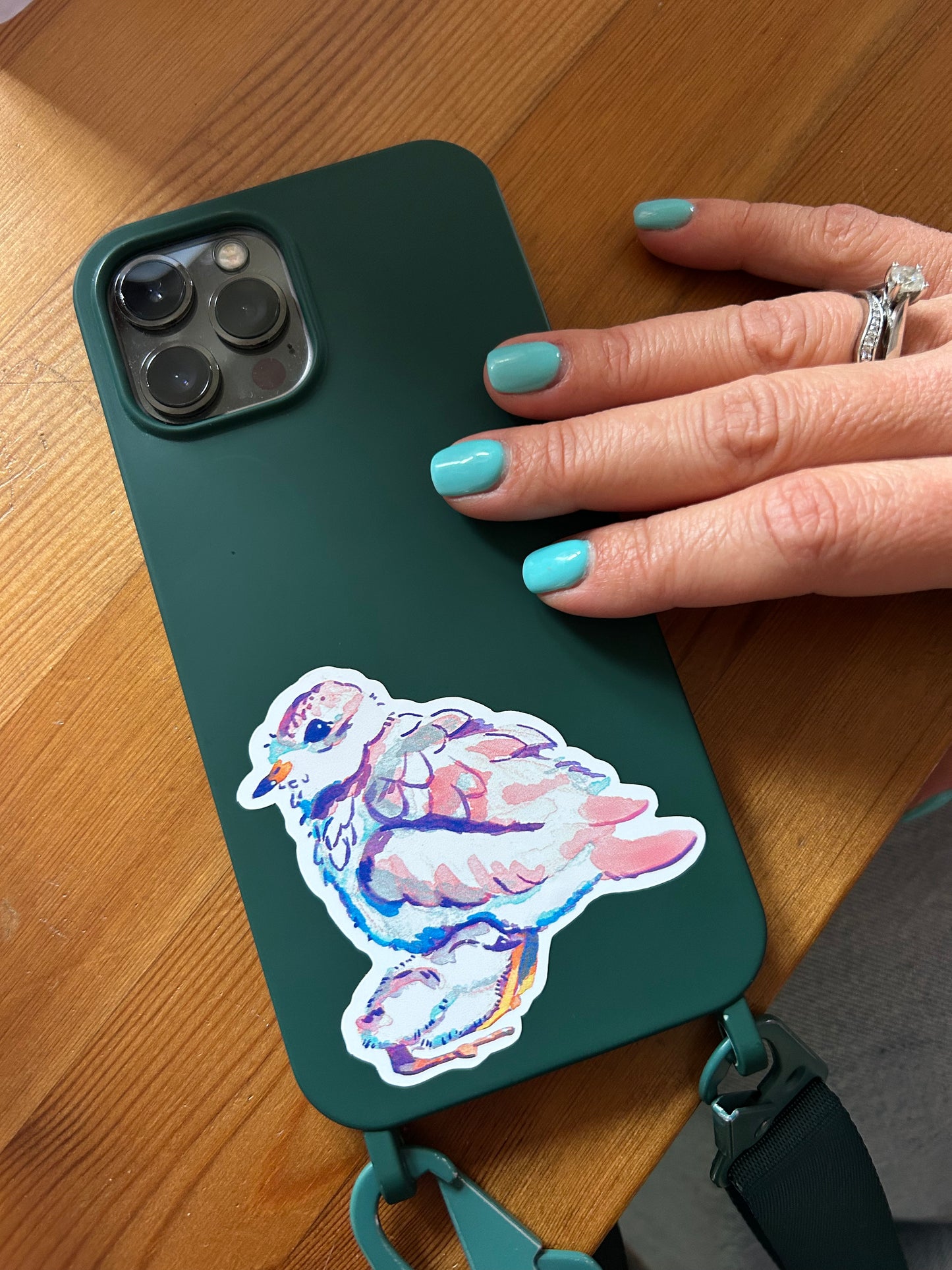 Rövidcsőrű lile matrica