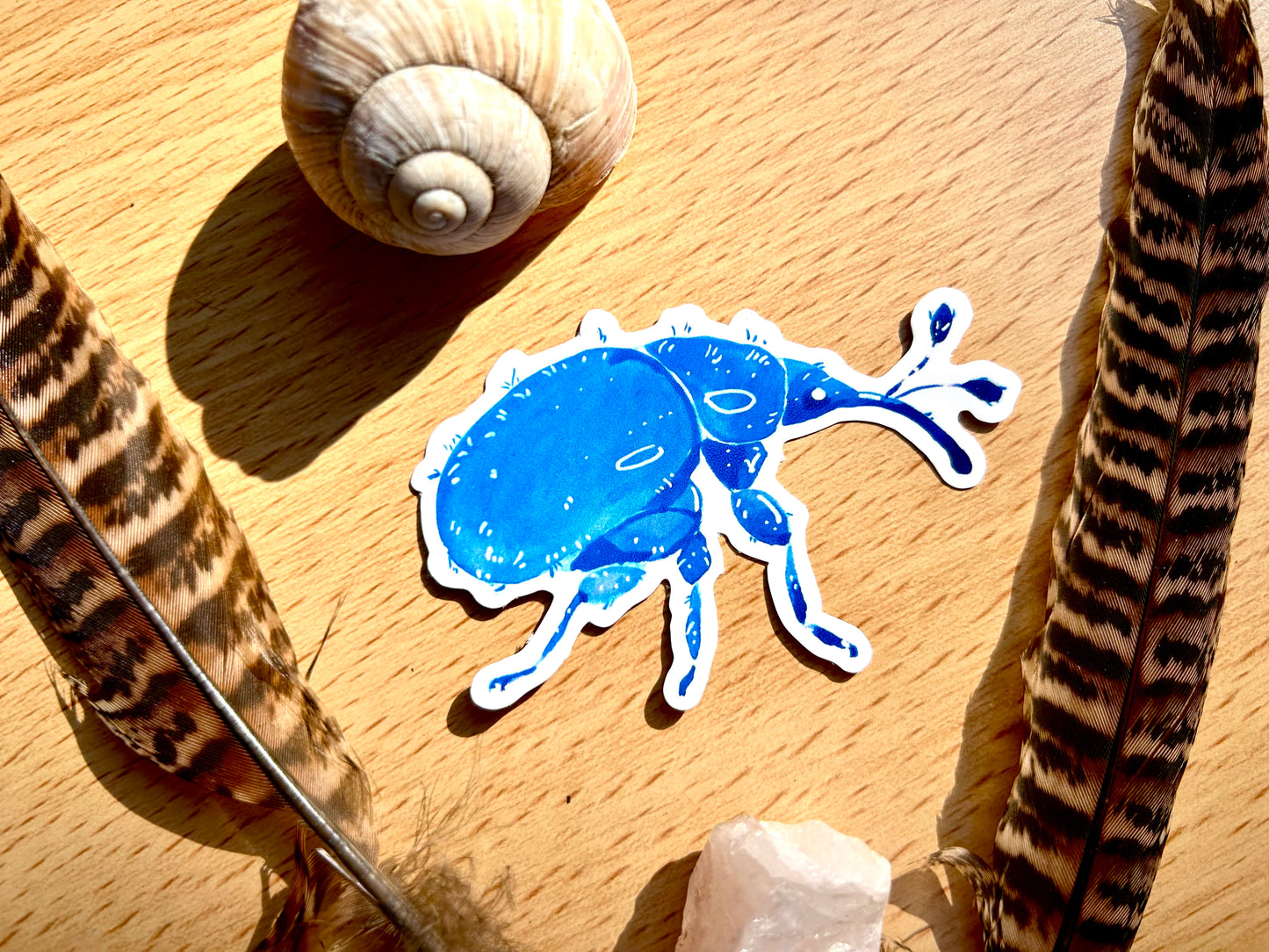 Kék ormányosbogár matrica