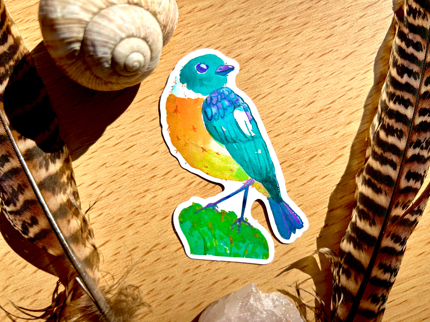 Cigánycsuk madár matrica