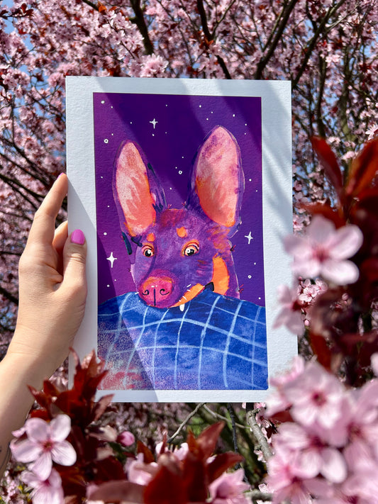 Ausztrál kelpie A4-es művészi Giclée nyomat