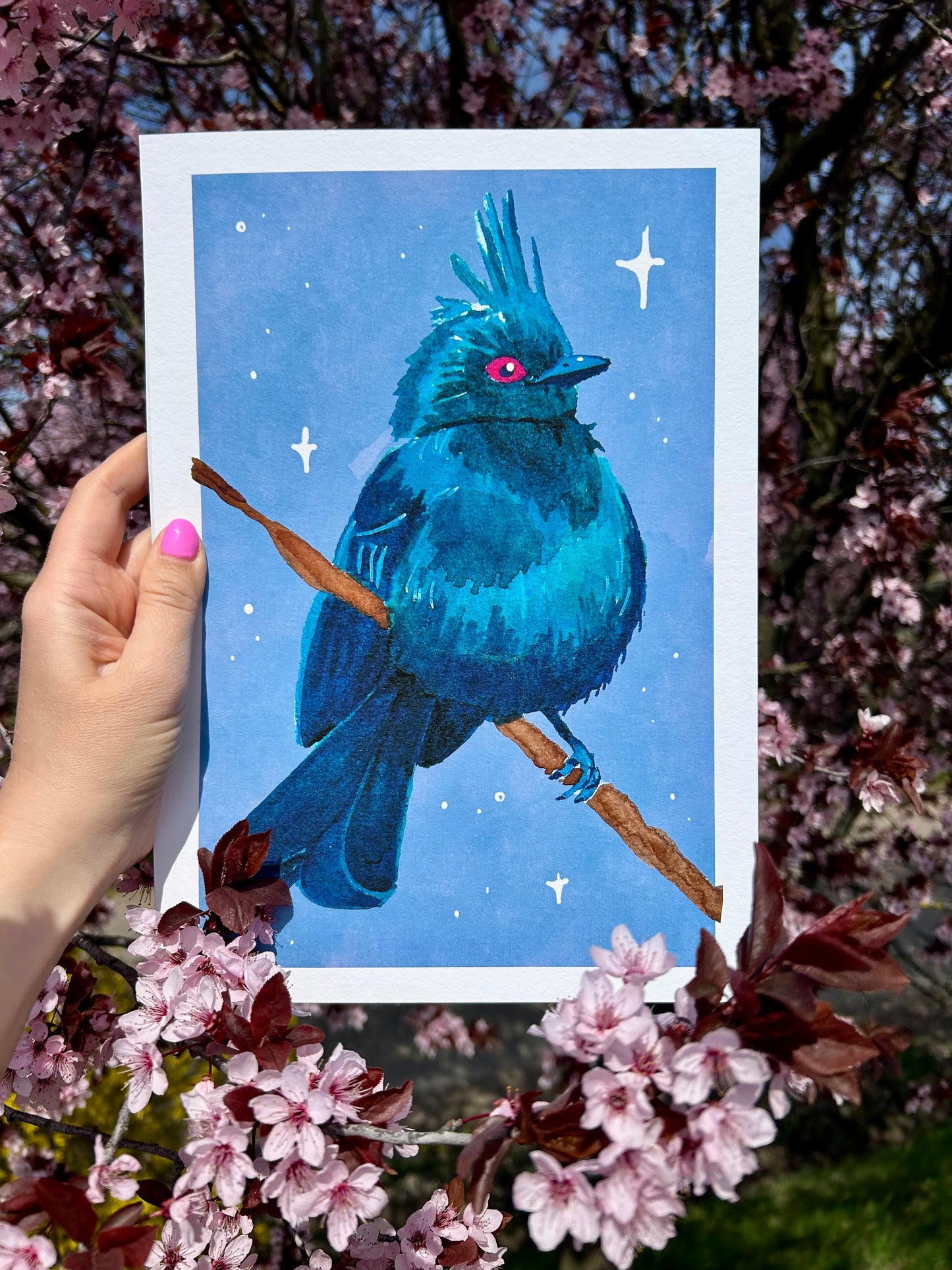 Nevadai selymesmadár A4-es művészi Giclée nyomat