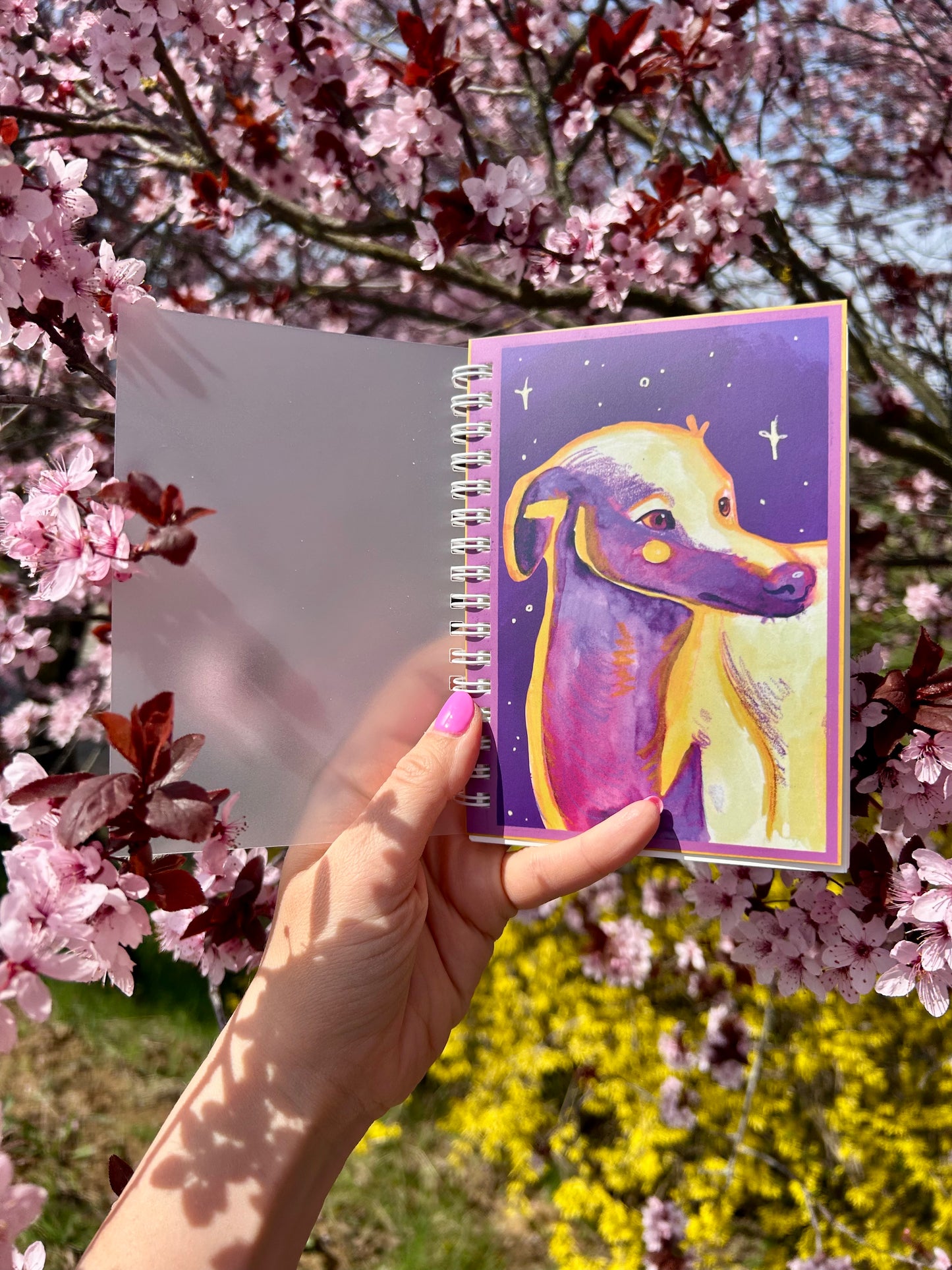 Kis angol agár/whippet notesz A6