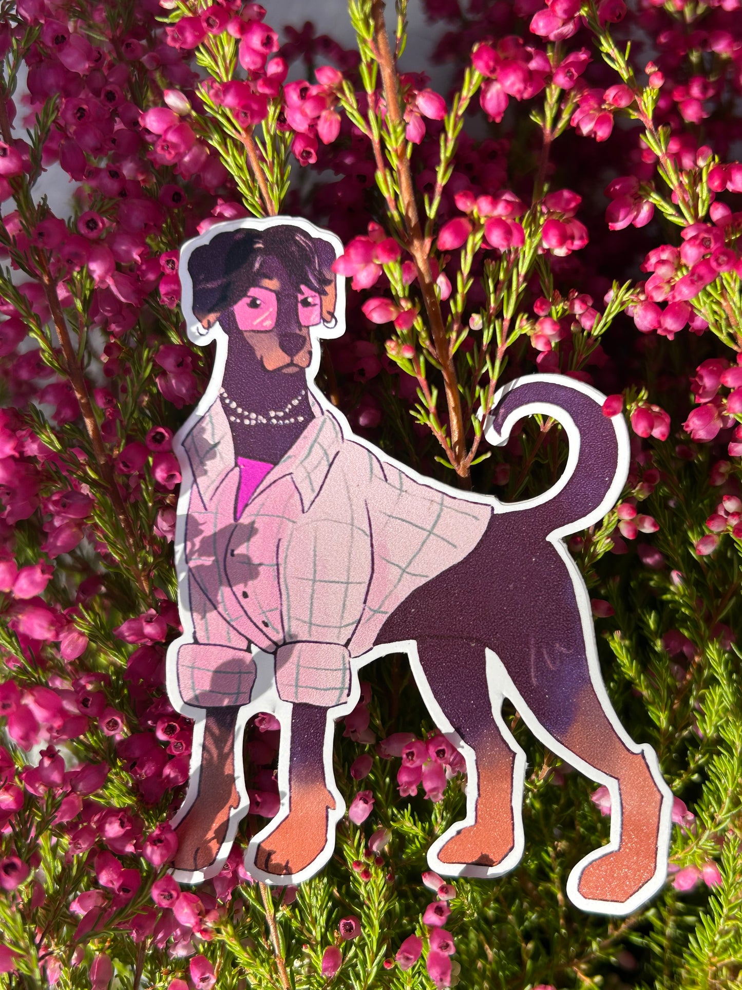 Jinu kutya matrica