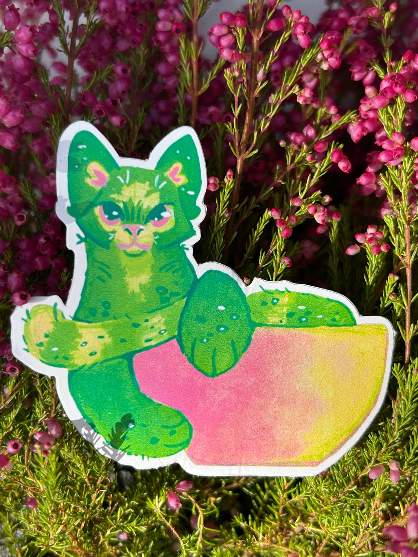 Matcha Latte cica matrica