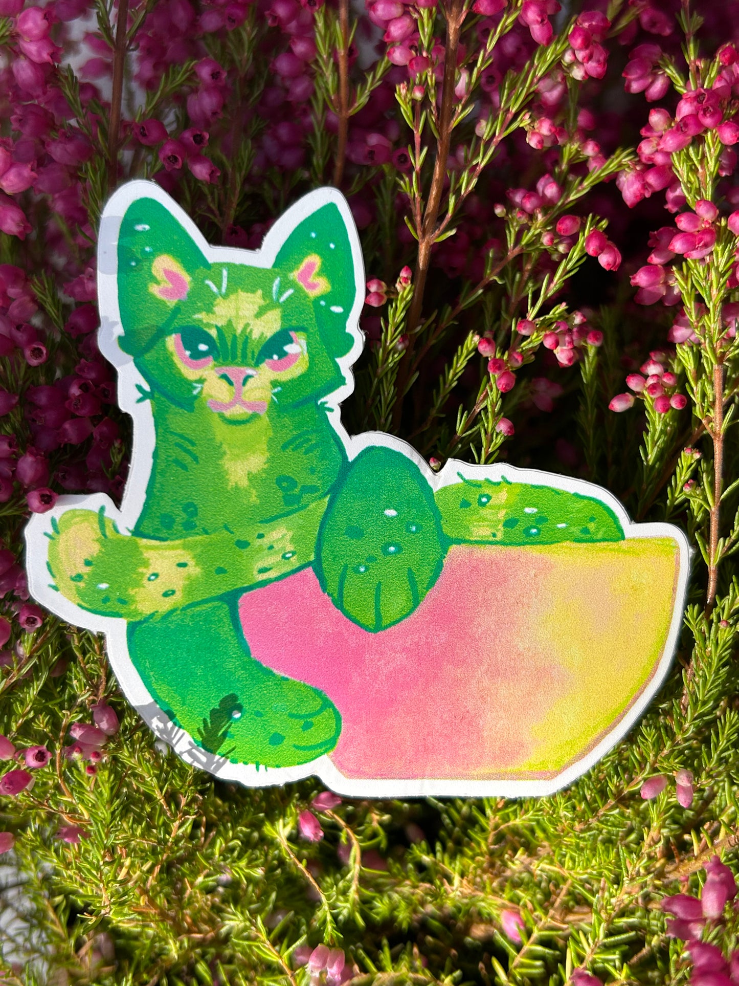 Matcha Latte cica matrica