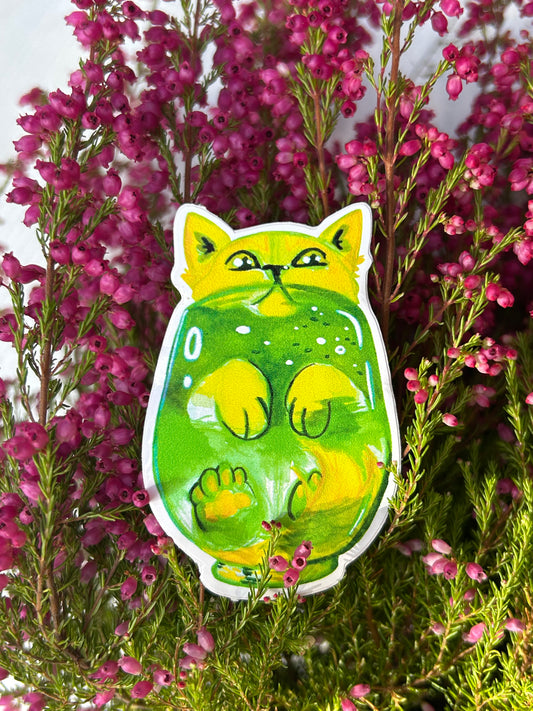 Mangós Matcha cica matrica