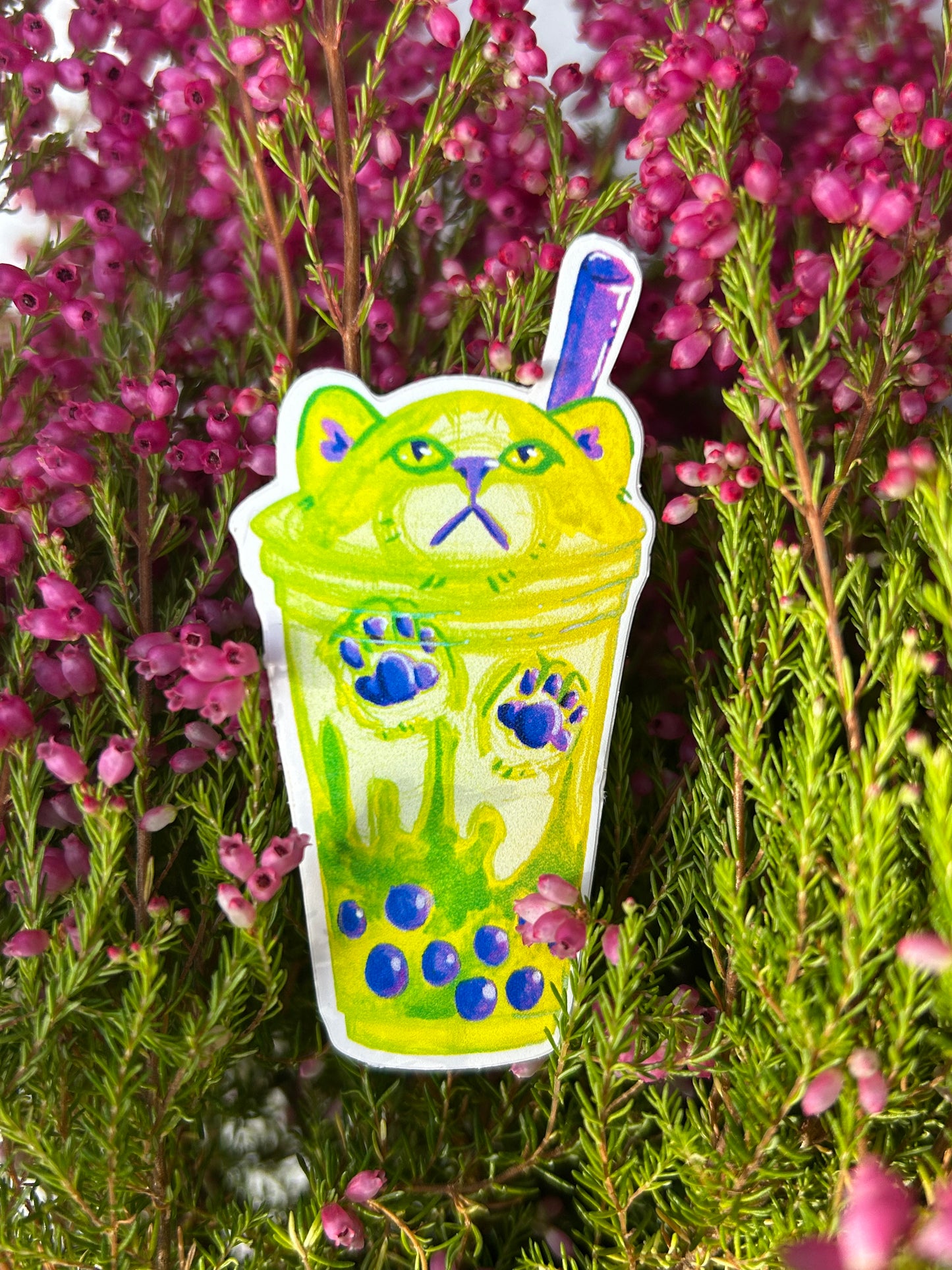 Matcha Boba cica matrica