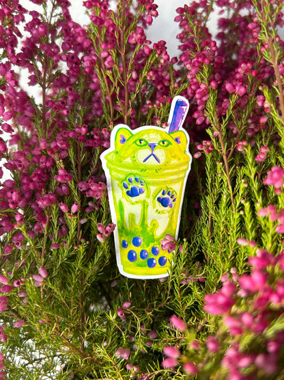 Matcha Boba cica matrica