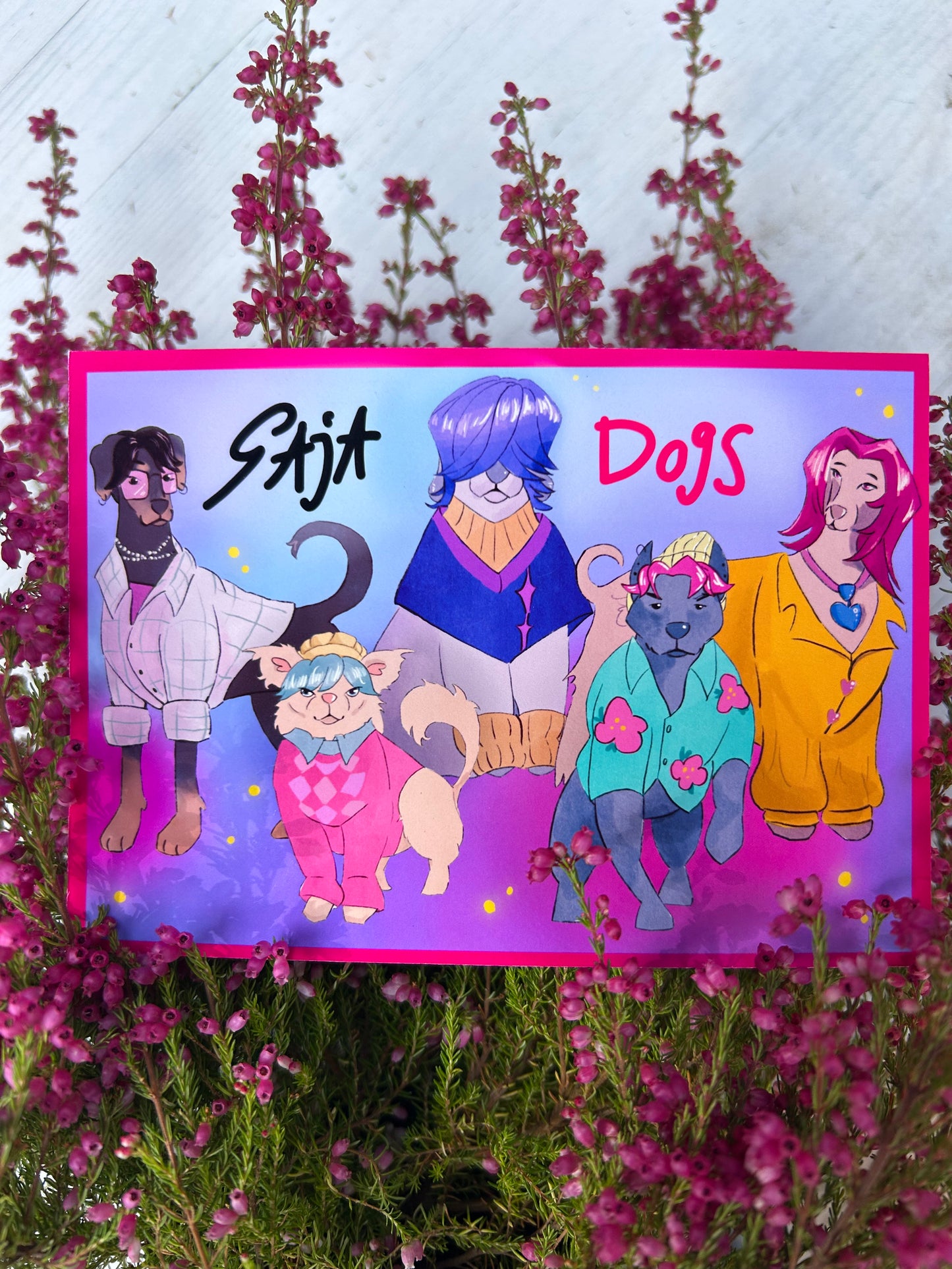 Saja Dogs képeslap
