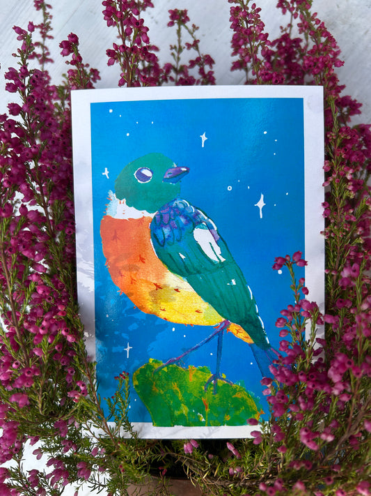 Cigánycsuk madár képeslap