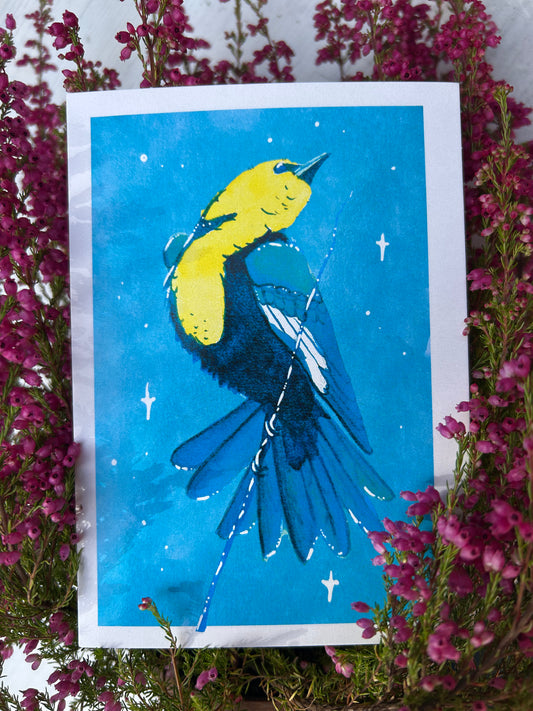 Sárgafejű csiröge képeslap