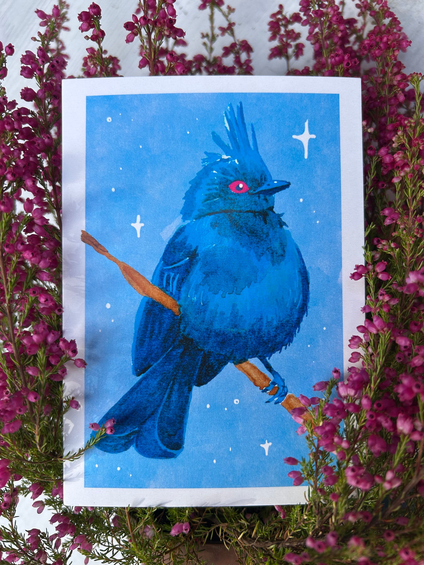 Nevadai selymesmadár képeslap