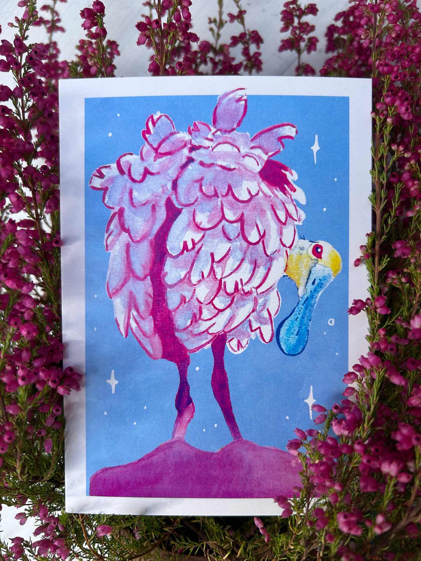 Rózsás kanalasgém képeslap