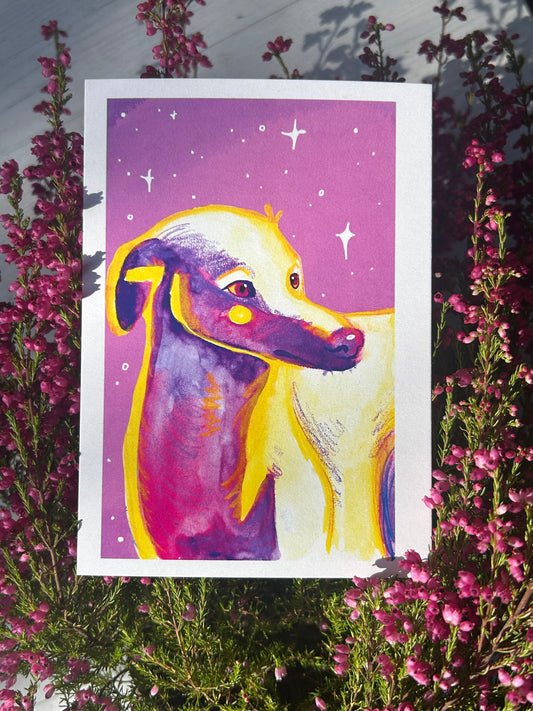 Kis angol agár/whippet képeslap