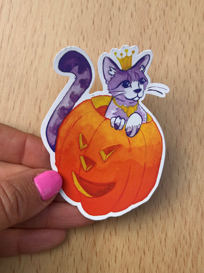 Királynő Tökfej Cica