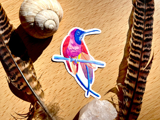 Topázkolibri matrica