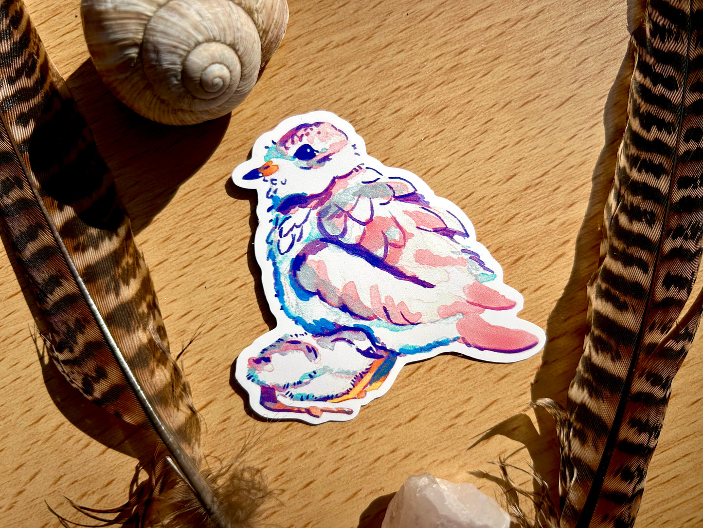 Rövidcsőrű lile matrica