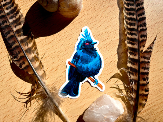 Nevadai selymesmadár