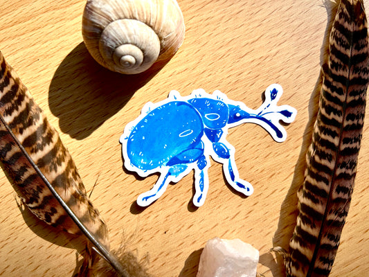 Kék ormányosbogár matrica