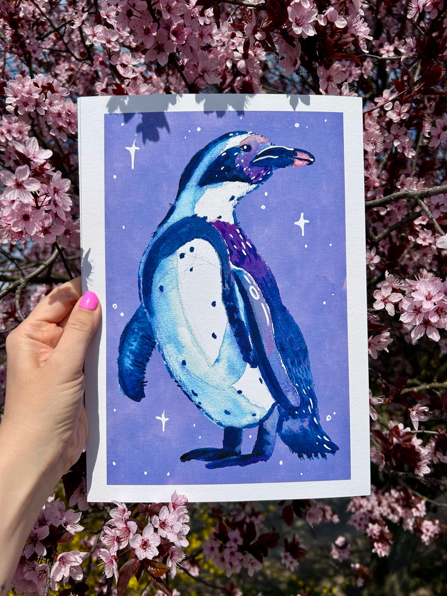 Magellán pingvin A4-es művészi Giclée nyomat