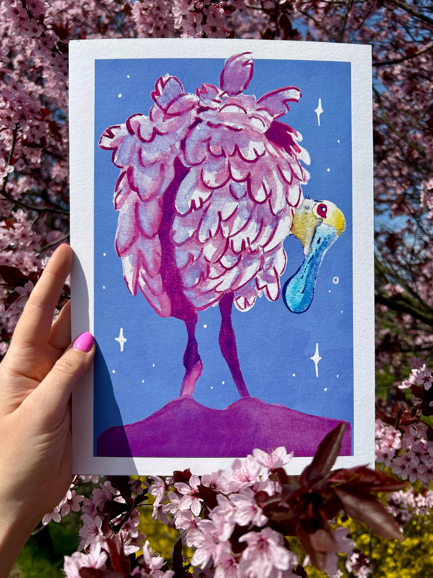 Rózsás kanalasgém A4-es művészi Giclée nyomat