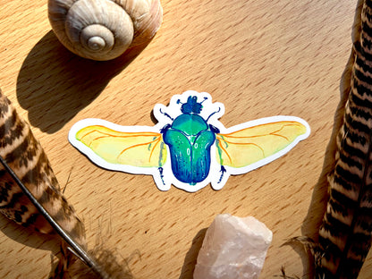 Aranyos rózsabogár matrica